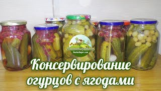 Огурцы с крыжовником и красной смородиной на зиму Огурцы с крыжовником и красной смородиной на зиму