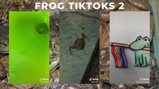 More Frog TikToks That Are Flooding My FYP Because I&#39;ve Somehow Landed on the Frog Side of TikTok