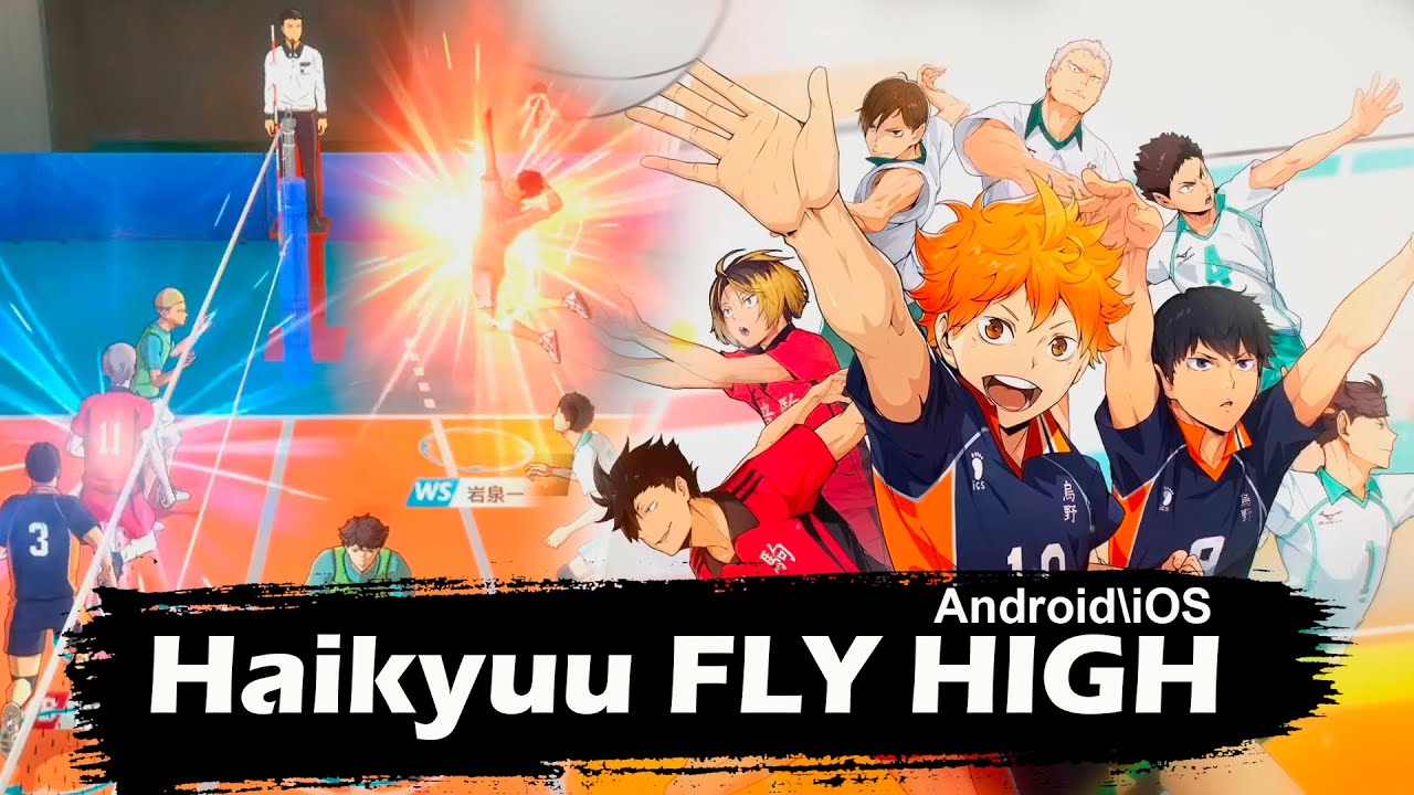 Игра haikyuu fly