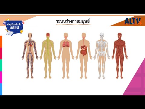 วิทยาศาสตร์ : ระบบร่างกายมนุษย์ l ห้องเรียนติวเข้มมัธยม (21 เม.ย. 64)