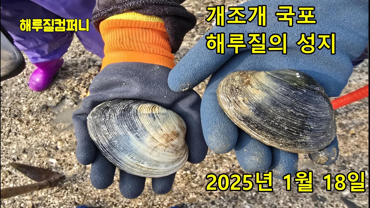 개조개 국민포인트 해루질!! 해루질의 성지!!