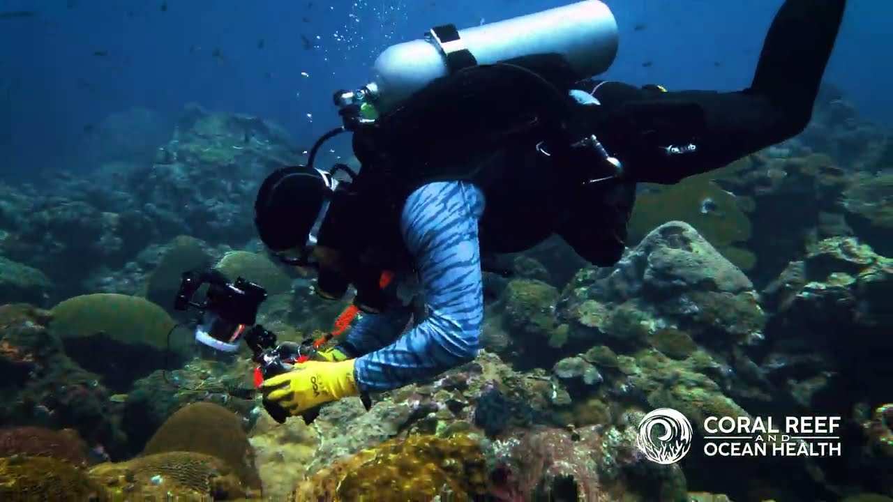 Living Laboratory: Flower Garden Banks National Marine Sanctuary