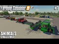 This is a New Challenge | Animals Challenge | Timelapse 1 | Farming Simulator 19