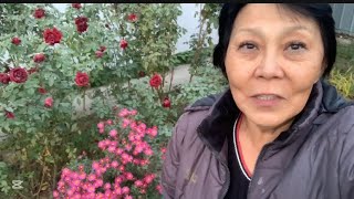 картинка: 🧷 647. Домашние радости. Травма на ровном месте. 🤕