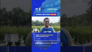 Petani Antisipasi Gagal Panen Akibat Anomali Cuaca