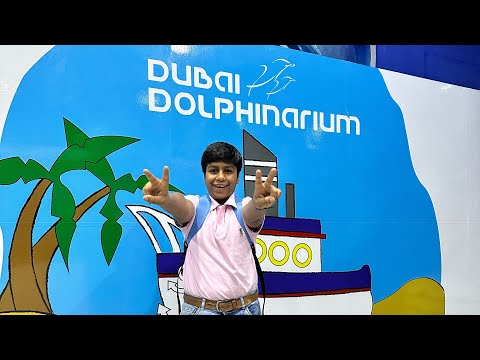 Dubai Dolphinarium | best indoor attraction | summer fun