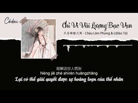 Vietsub Pinyin Chỉ Vì Vài Lượng Bạc Vụn Châu Lâm Phong L Đào Tử 只为碎银几两 周林枫 L