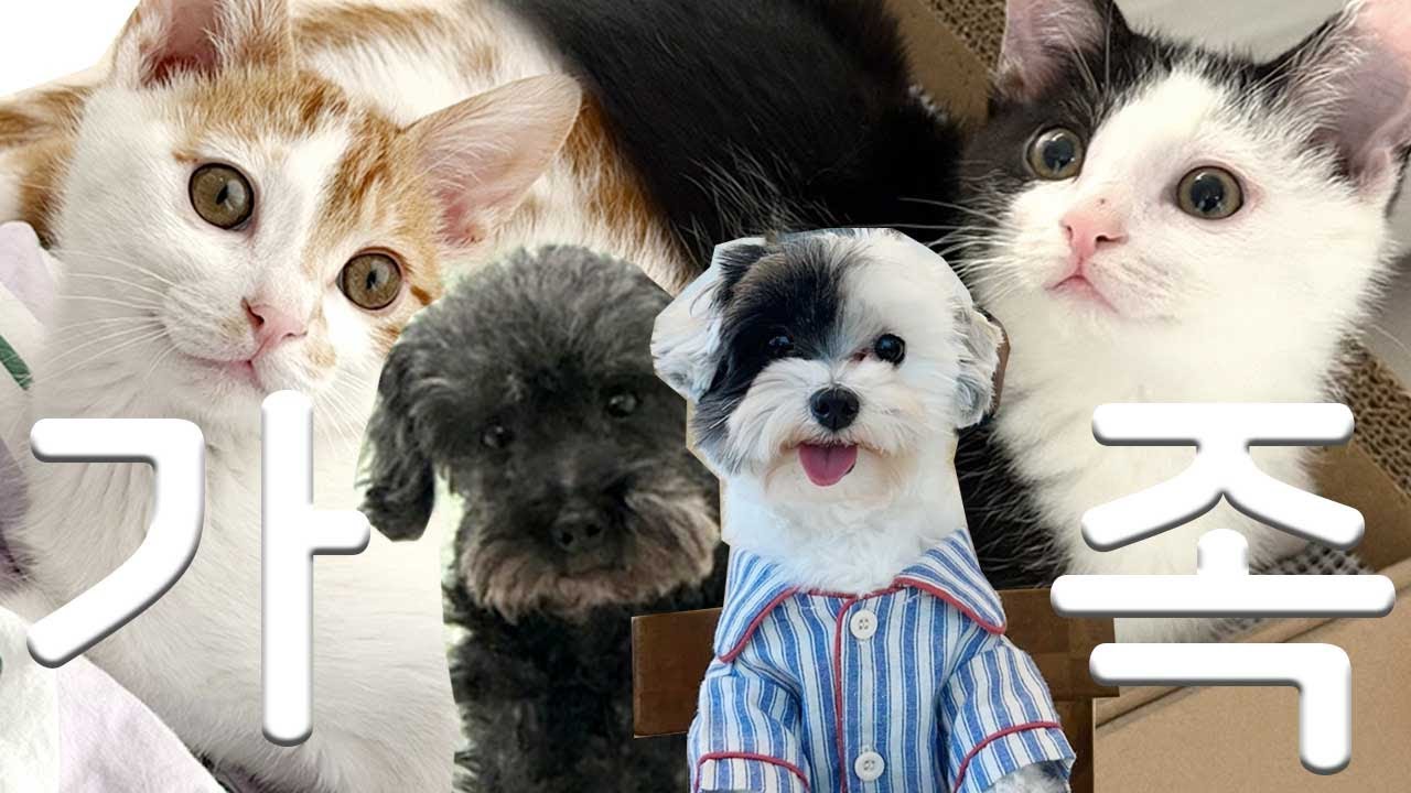 오별 오복이네 복작복작 대가족을 소개합니다.