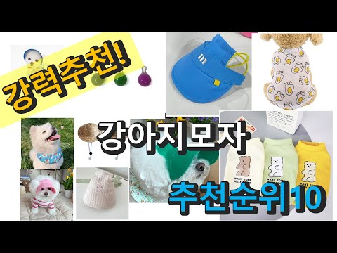 2022년 강아지모자 판매 추천순위 TOP10 가성비 평점 후기 비교