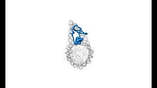 Simulations Show For The First Time How Dna Is Made Available For Replication In Cells - Video 2