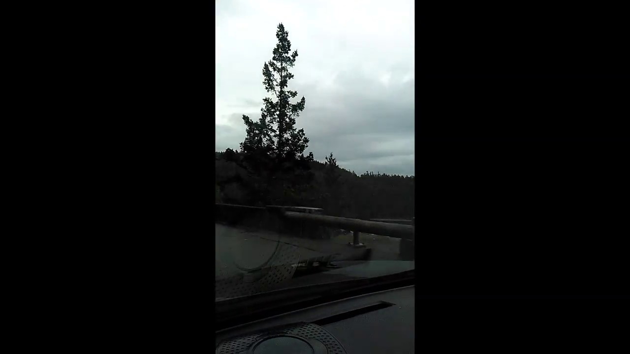 Taking Friday Off YouTube taking-friday-off-youtube
