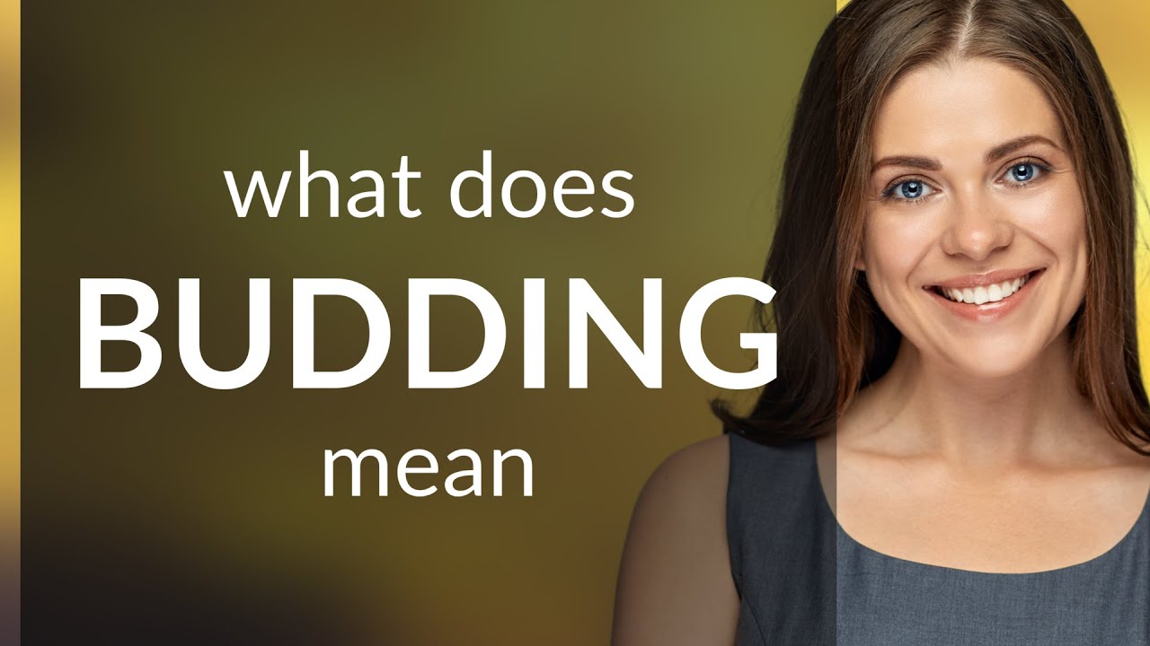 Budding | BUDDING definition - YouTube