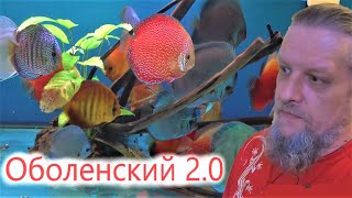 видео: Дмитрий Оболенский 2.0 и его аквариумы картинка: Дмитрий Оболенский 2.0 и его аквариумы