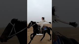 Gefährlicher Pferdeschaum Entdecktdo Not Attemt.