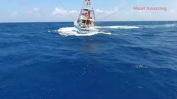 VỠ TIM.....ĐẠI CHIẾN KÌNH NGƯ  VỚI NHỮNG GÓC QUAY TUYỆT VỜI TỪ FLYCAM