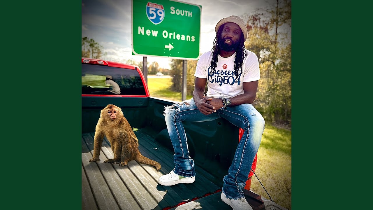 Obejrzyj Monkey w YouTube Obejrzyj Monkey w YouTube