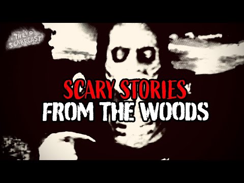 3 Scary Stories From The Woods