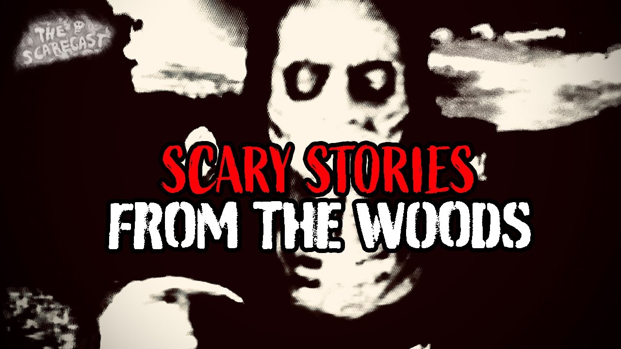 3 Scary Stories From The Woods
