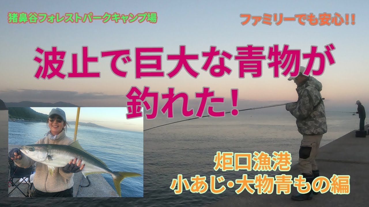 淡路島釣り情報＃３　炬口漁港　巨大な青物が釣れた！