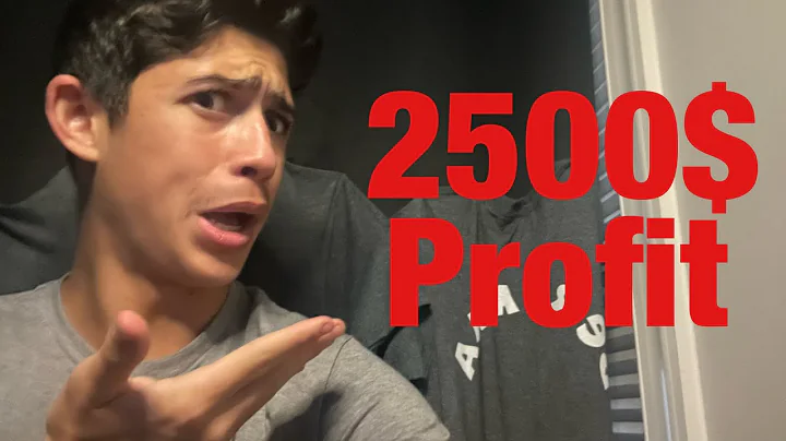 The Bert MMA Prediction Betting Strategy (2500$ Pr...