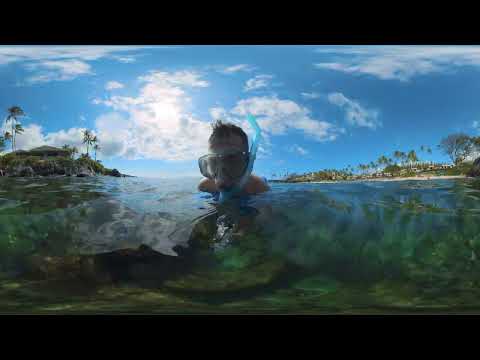 🐢 Embrace the Ocean | Snorkeling with Maui Sea Turtles what it's like in 360