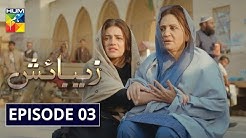 Zebaish Episode 3 | English Subtitles | HUM TV Drama 26 June 2020