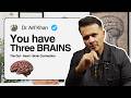 Your Brain Isn’t the Only Brain in Your Body | Dr. Arif Khan