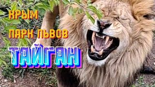 Парк львов ТАЙГАН. А стоит ли ехать сюда?  Решайте сами!!!