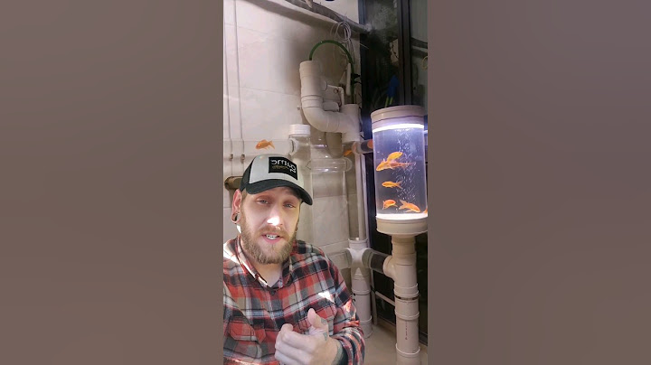 DIY Aquarium |PVC Fish Tank #fish #aquarium #fishtank