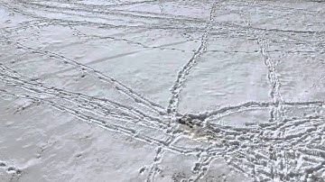 Phantom 3 FIRST FLIGHT and CRASH!