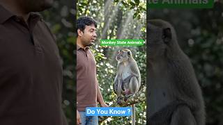 Tripura State Animal Monkey I Do You Know This About Animals #animalfacts #wildlife #animals