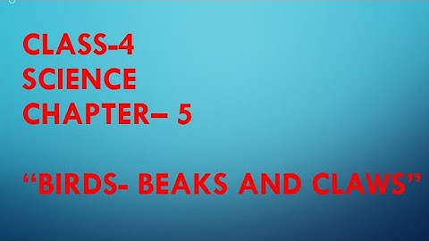 Dav class-4 science chapter-5 Birds- beaks and claws