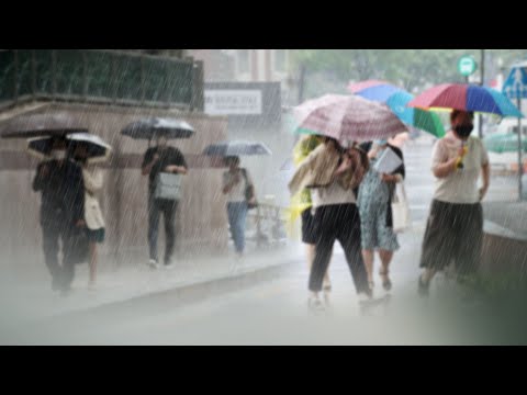 [이슈워치] 주말부터 본격 장마철…올여름 장마 특징과 전망 / 연합뉴스TV (YonhapnewsTV)