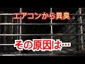 【閲覧注意】臭うエアコン、中で何か死んでます