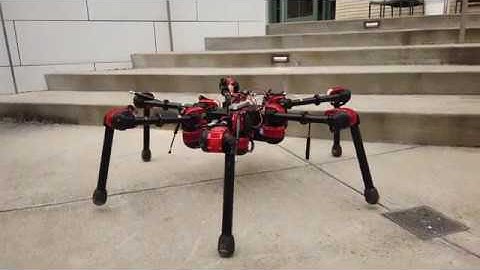 Daisy Stair Climbing