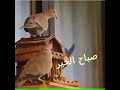 صباح الخير