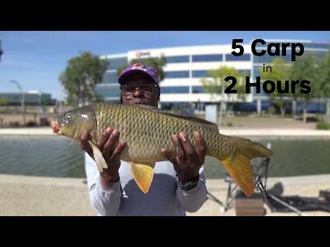 best fishing pole brans Top Fishing Rod Brands For Freshwater  AnglerWise