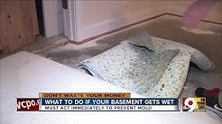 Don't Waste Your Money: What to do if your basement floods