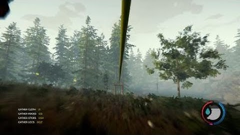 The Forest Rope swing