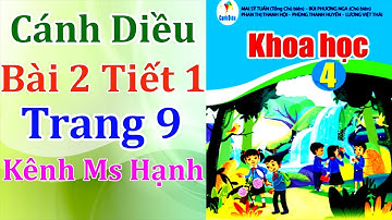Khoa học 4 Cánh diều Bài 2 Sự chuyển thể của nước (Tiết 1)