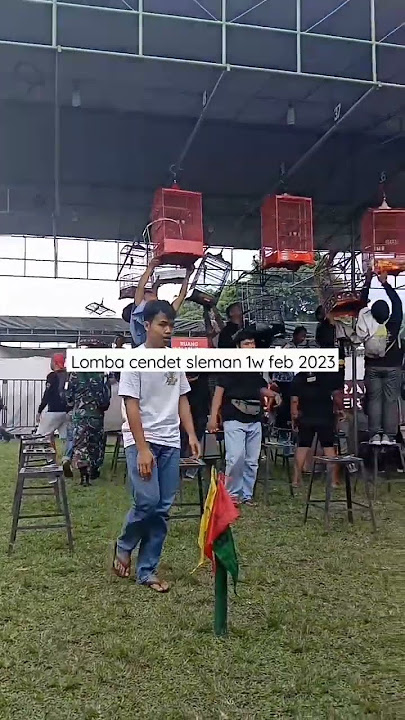 Lomba Kelas Burung Cendet #burung #burungputer