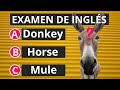 Test de inglés 50 palabras✅ ¿Cómo se dice burro en inglés?🤔 ¿Podrás responder todas? Examen✅ Quiz✅
