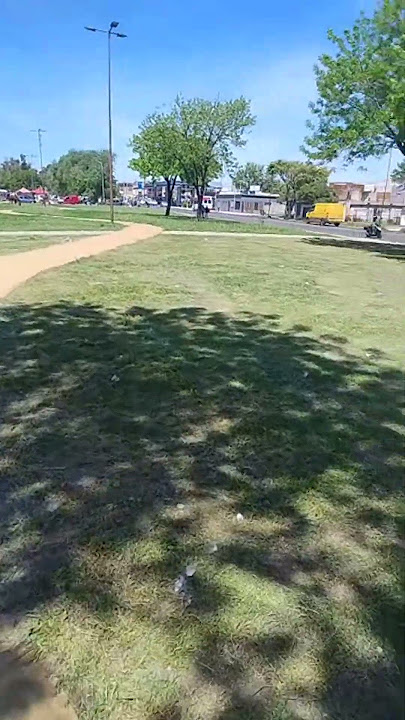La municipalidad de Lanús, sigue cortando el pasto en parque verde de M. Chingolo