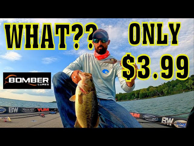 Is This the Best Crankbait Ever for $3.99!? 