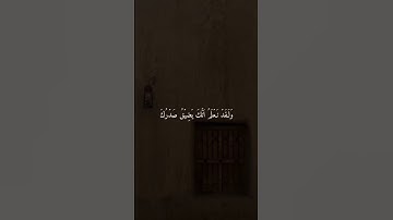 تلاوة خاشعة ومؤثرة بصوت الشيخ هزاع البلوشي ارح سمعك ♡ #قرآن #راحة_نفسية
