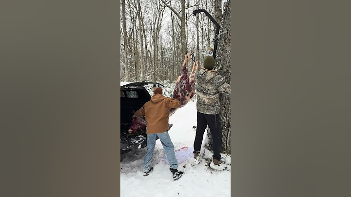 Butchering a Pennsylvania Elk #shorts