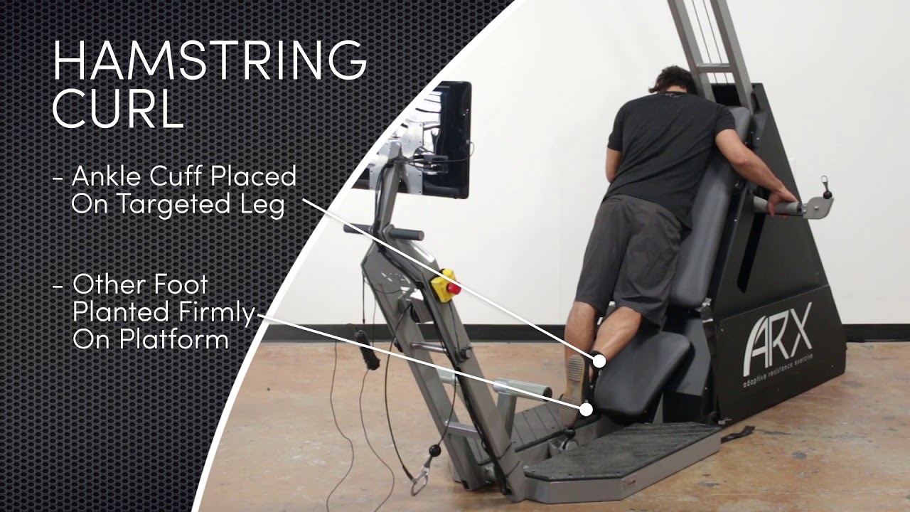 ARX Omni - Hamstring Curl golftec denver