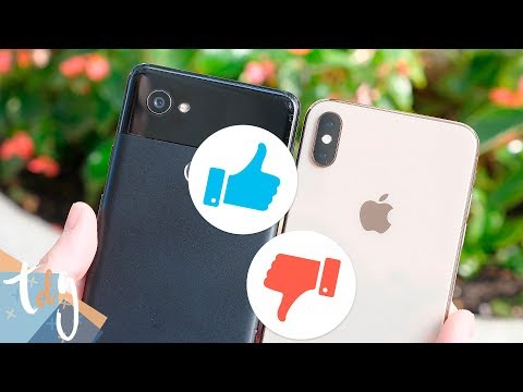 Más BARATO 💶, VIEJO👴🏻 pero con mejor CÁMARA, XS Max vs Pixel 2 XL