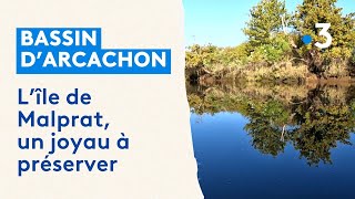 L'île de Malprat, un trésor de biodiversité près du Bassin d'Arcachon