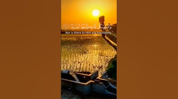 سورة الاخلاص القارئ شريف مصطفى #القرآن_الكريم #القران_الكريم #القرآن #القران